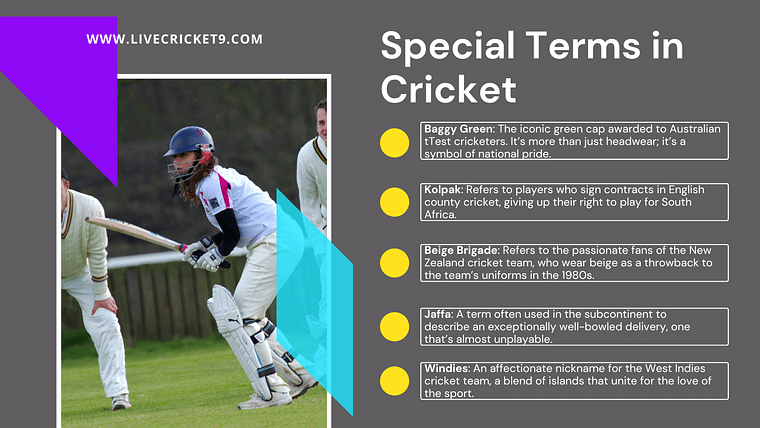 cricket for dummies special terms