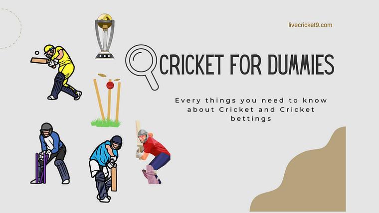 cricket for dummies
